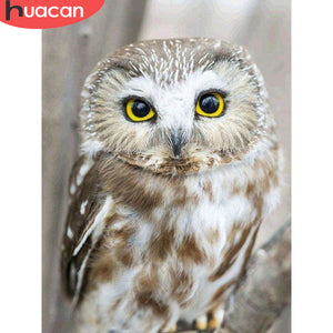 5D Diamond Embroid Owl Painting