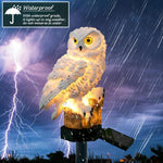 Owl Solar Light With Solar LED