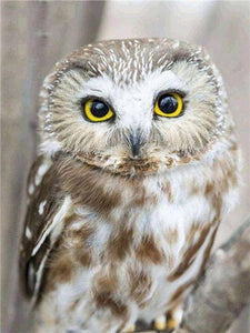 5D Diamond Embroid Owl Painting