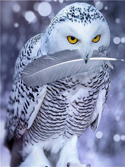 5D Diamond Embroid Owl Painting