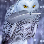 5D Diamond Embroid Owl Painting