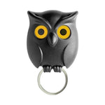 Wall Hanging Owl Key Holder