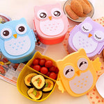 Cartoon Owl Lunch Box & Food Container