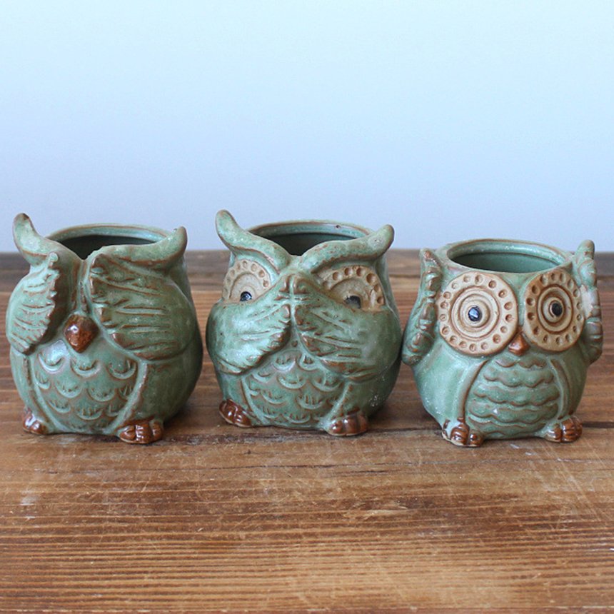 Rustic Owl Flower Pot