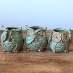 Rustic Owl Flower Pot