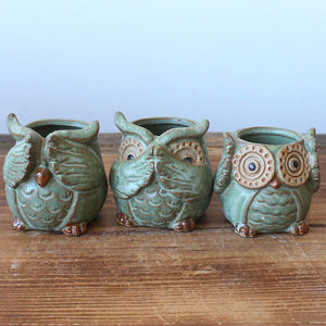 Rustic Owl Flower Pot